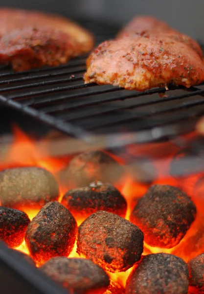 Grilled Meat Grill — Stock Photo, Image