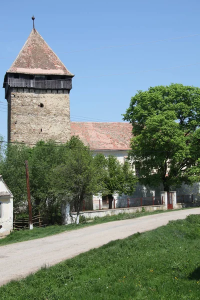 Rumunsko Země Jihovýchodní Evropy Známá Pro Zalesněnou Oblast Transylvánie — Stock fotografie