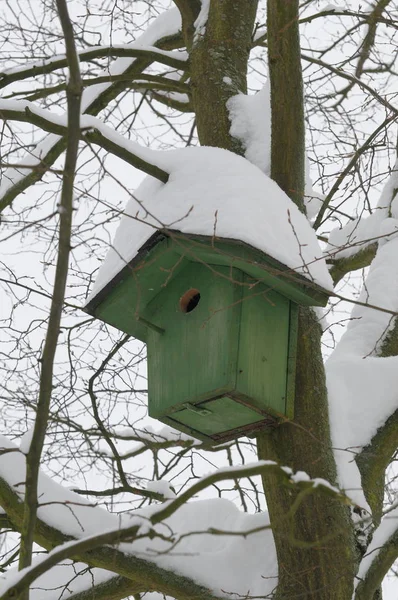 Schnee Auf Dem Dach — Stockfoto