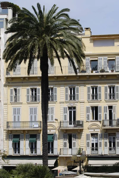 Apartment building and palm tree. Cannes
