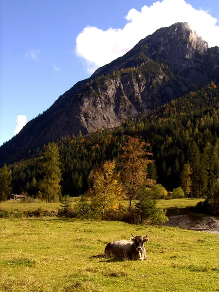 Vista Panorámica Del Majestuoso Paisaje Los Alpes — Foto de Stock