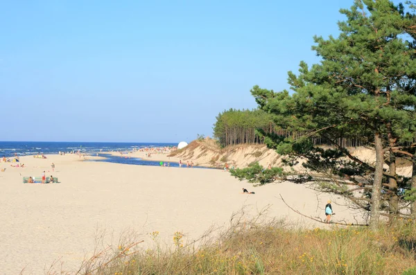 Krajobraz Plaży — Zdjęcie stockowe