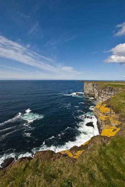 Litoral Marwick Head Orkney — Fotografia de Stock