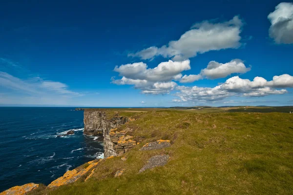 Litoral Marwick Head Orkney — Fotografia de Stock