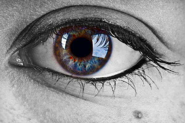 Close Olho Humano Com Olhos Pretos — Fotografia de Stock