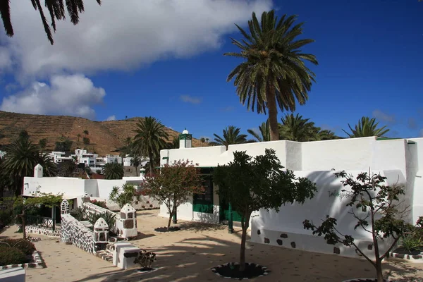 Haria Vallei Van 1000 Palmen Lanzarote — Stockfoto