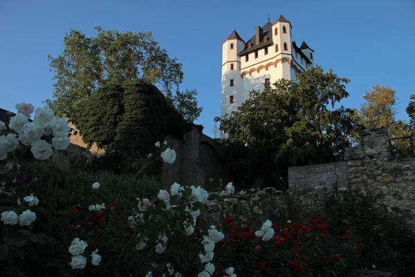 Schloss Eltville Reise Und Architekturkonzept — Stockfoto