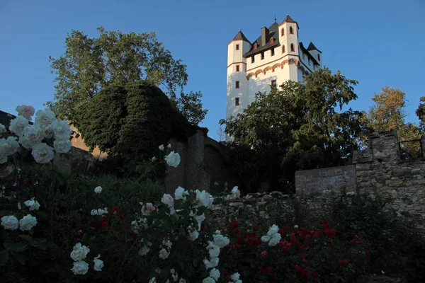 Zamek Eltville Koncepcja Podróży Architektury — Zdjęcie stockowe