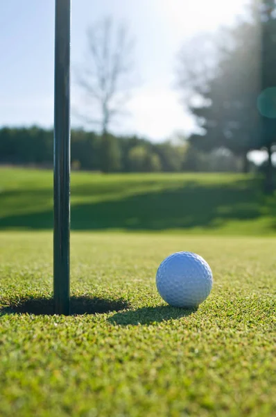 Pelota Golf Campo — Foto de Stock