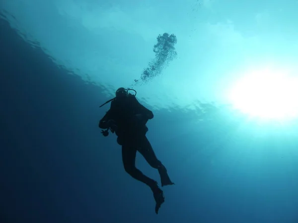 Fondo Pantalla Tema Marino Disparo Luz Del Día —  Fotos de Stock