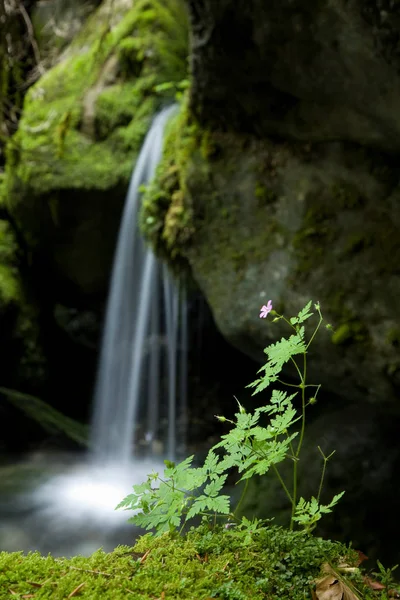 Hermosa Cascada Sobre Fondo Naturaleza — Foto de Stock