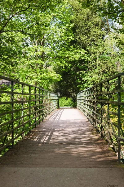 Sentier Dans Parc — Photo