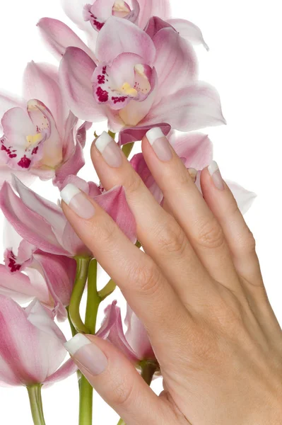 Primo Piano Mani Femminili Con Manicure — Foto Stock