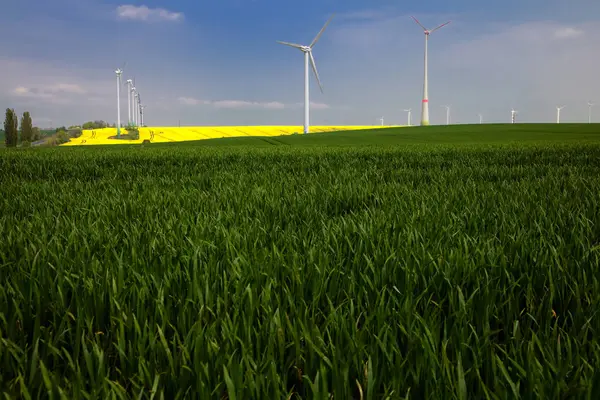 Wind Turbines Alternative Wind Energy — Stock Photo, Image