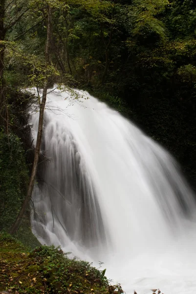 Natur Flora Wasserfall Wasserfluss — Stockfoto