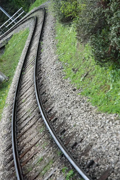 Vías Del Ferrocarril Bosque — Foto de Stock