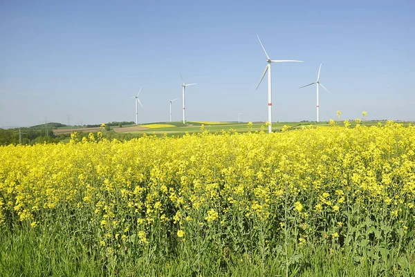 Turbina Eólica Energia Eólica — Fotografia de Stock