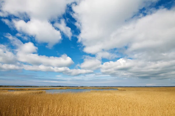 Pittoresk Uitzicht Landschap — Stockfoto