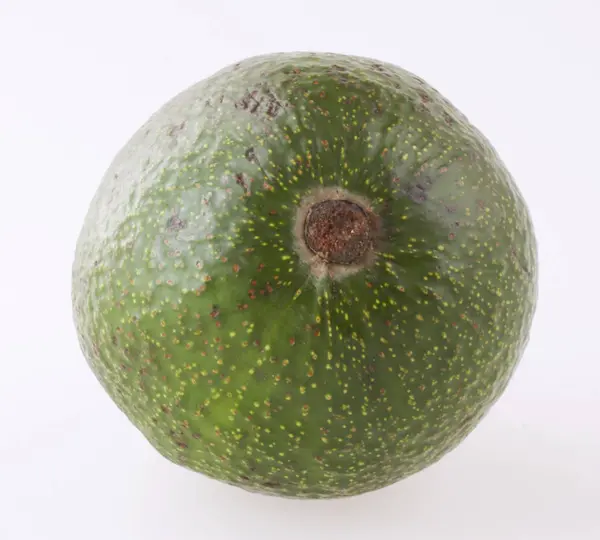 Avocado Frutta Pianta Tropicale — Foto Stock
