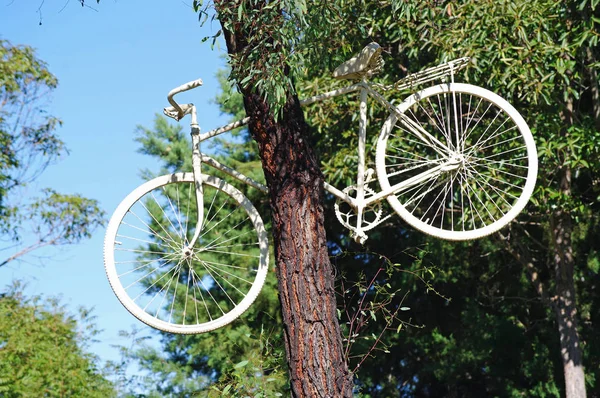 Велосипед Застрял Высоком Дереве — стоковое фото