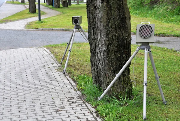 Vecchia Panchina Nel Parco — Foto Stock