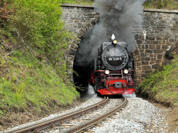 Tunnel Miniatyrjärnväg — Stockfoto