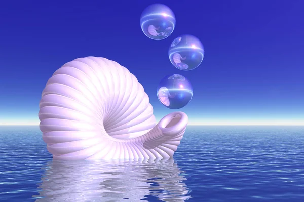 Белый Панцирь Пузырями — стоковое фото
