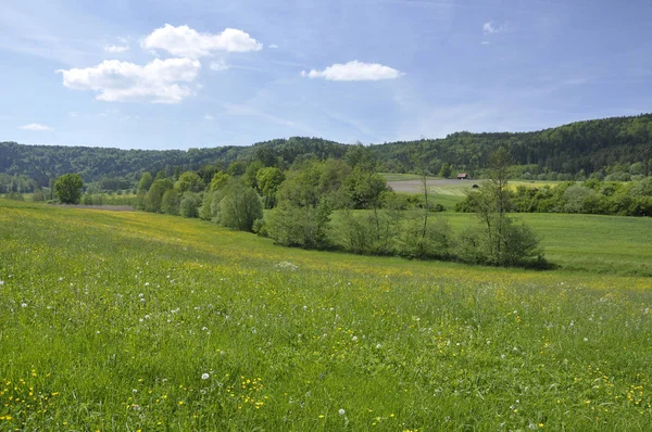 Landschaftspflege Radweg — Stockfoto