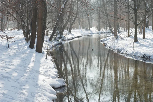 Zimowy Krajobraz Pokrytymi Śniegiem Drzewami Rzeką Lesie — Zdjęcie stockowe