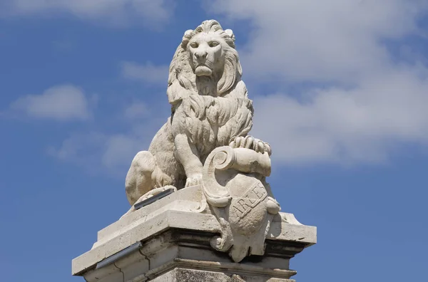 León Ellos Francia Meridional —  Fotos de Stock