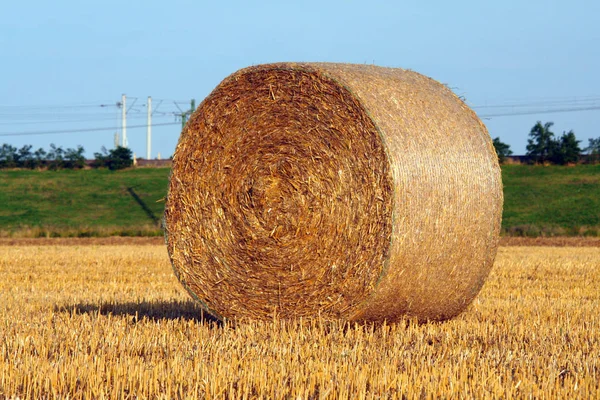 Zemědělská Polní Sklizeň Balíky Slámy — Stock fotografie