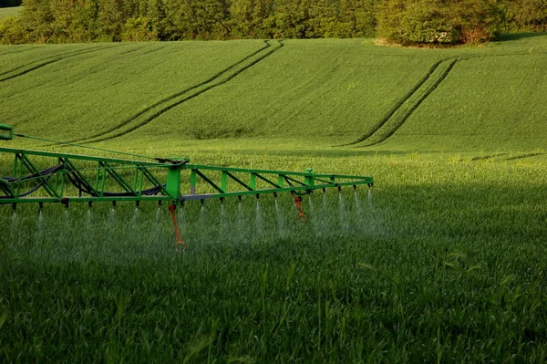 Malerischer Blick Auf Die Landschaft Selektiver Fokus — Stockfoto