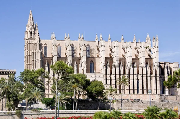 Cattedrale Palma Maiorca — Foto Stock