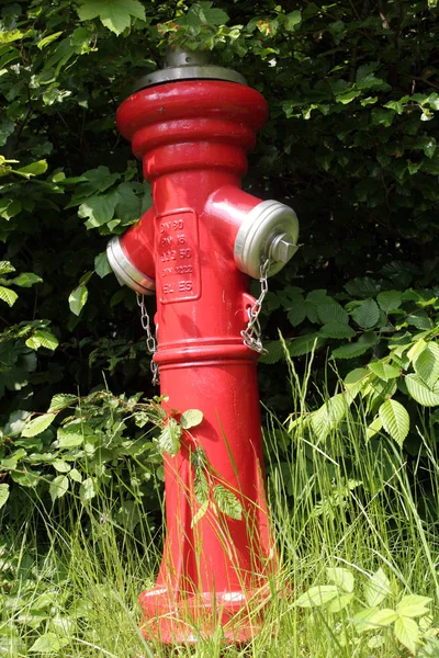 Κόκκινο Πυροσβεστικό Κρουνό Στο Πάρκο — Φωτογραφία Αρχείου