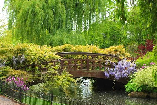 Jardín Reina Mary Londres —  Fotos de Stock