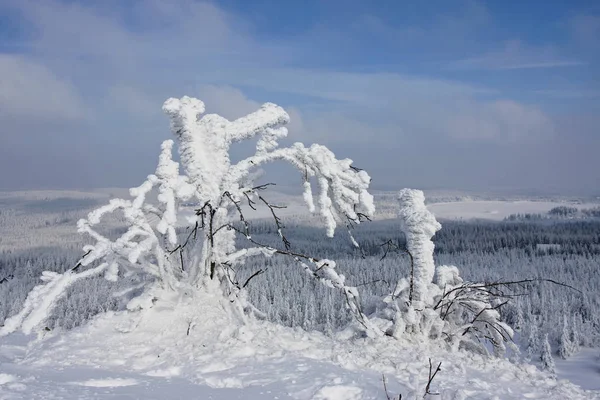 白雪覆盖的冬季风景风景如画 — 图库照片