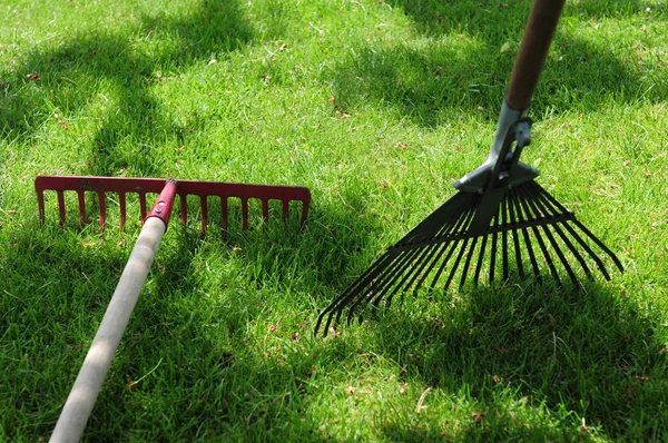 Gartenschlauch Gras — Stockfoto