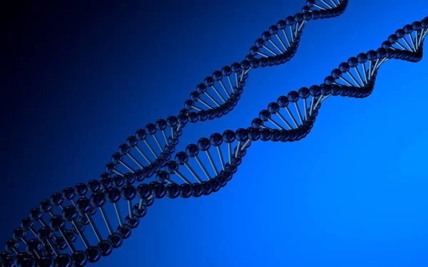 Gene, chromosome and DNA cells