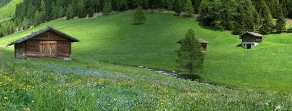 Vue Panoramique Sur Paysage Alpin Majestueux — Photo