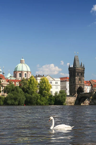 Ponte Carlo Praga — Foto Stock