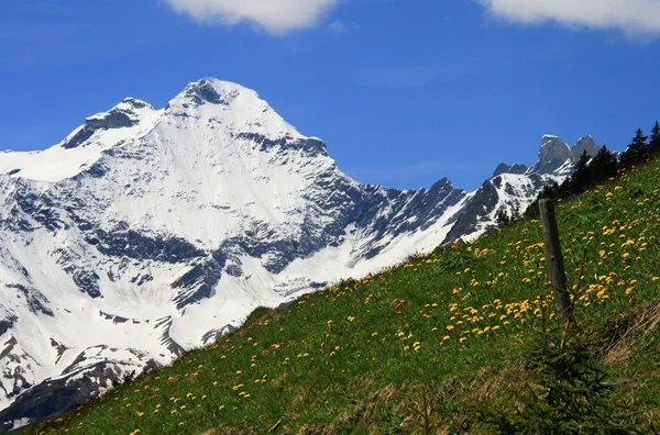 Vista Panorámica Del Hermoso Paisaje Con Cordillera — Foto de Stock