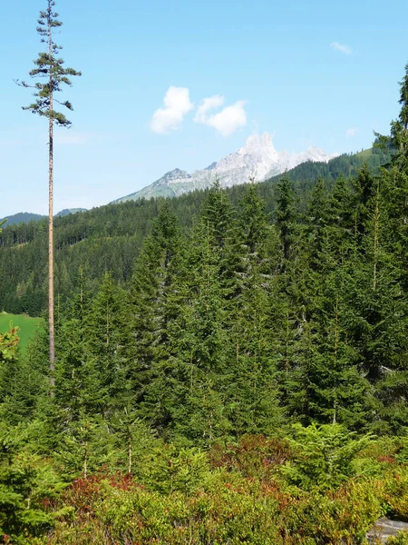 Scenic View Beautiful Alps Landscape — Stock Photo, Image