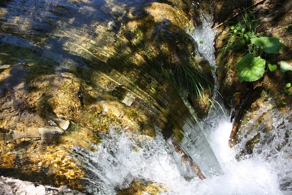 Vacker Utsikt Över Naturen — Stockfoto