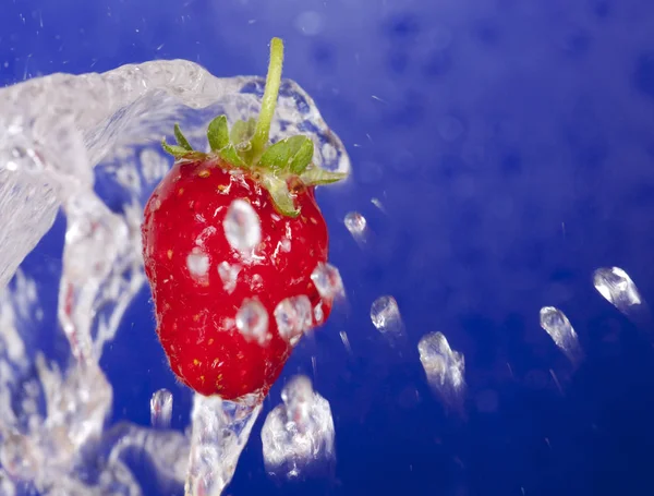 Frische Reife Erdbeere Nahaufnahme — Stockfoto