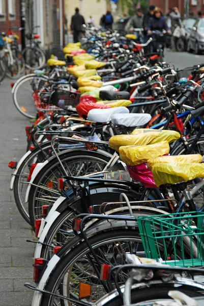 市内の自転車 — ストック写真