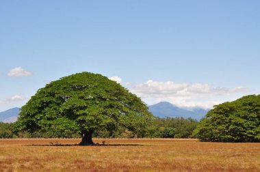 landscape of Costa Rican  clipart