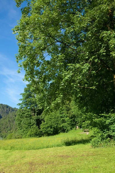 雄大なアルプスの風景 — ストック写真