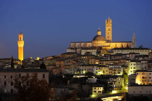 Siena Panorama Avec Une Vue Dom — Photo