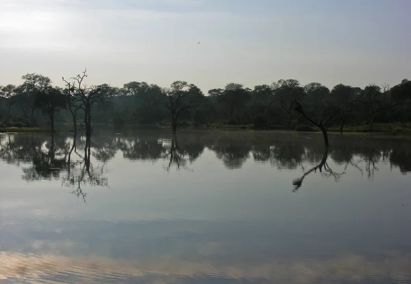 Suatu Pagi Afrika Selatan — Stok Foto