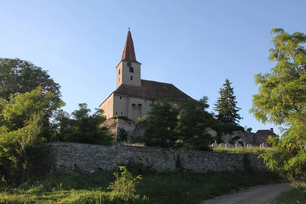 Roumanie Est Pays Europe Sud Est Connu Pour Région Forestière — Photo